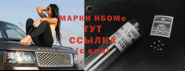 шишки Магас