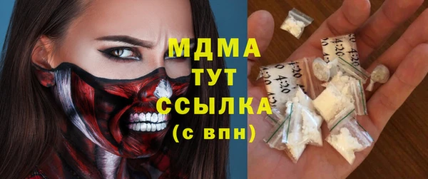 шишки Магас