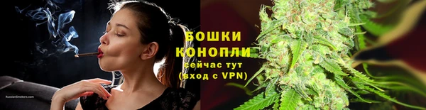 шишки Магас