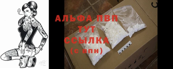 шишки Магас