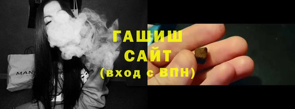 шишки Магас