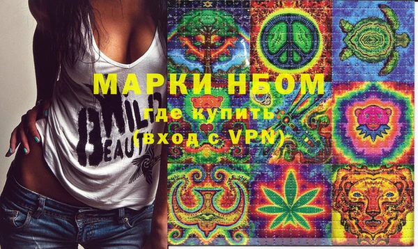 шишки Магас