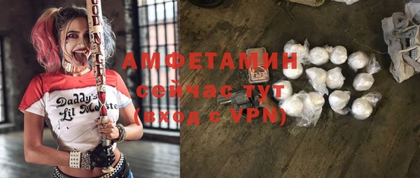 шишки Магас