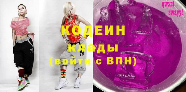 шишки Магас