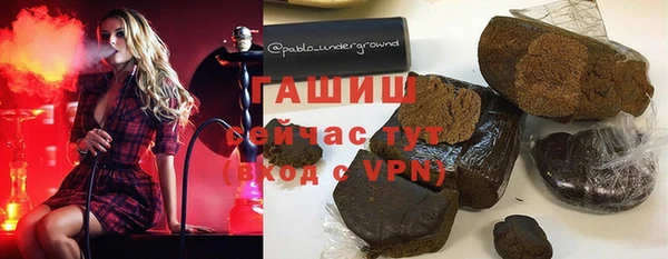 шишки Магас