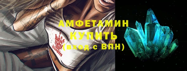 шишки Магас