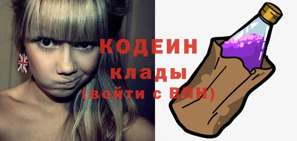 шишки Магас
