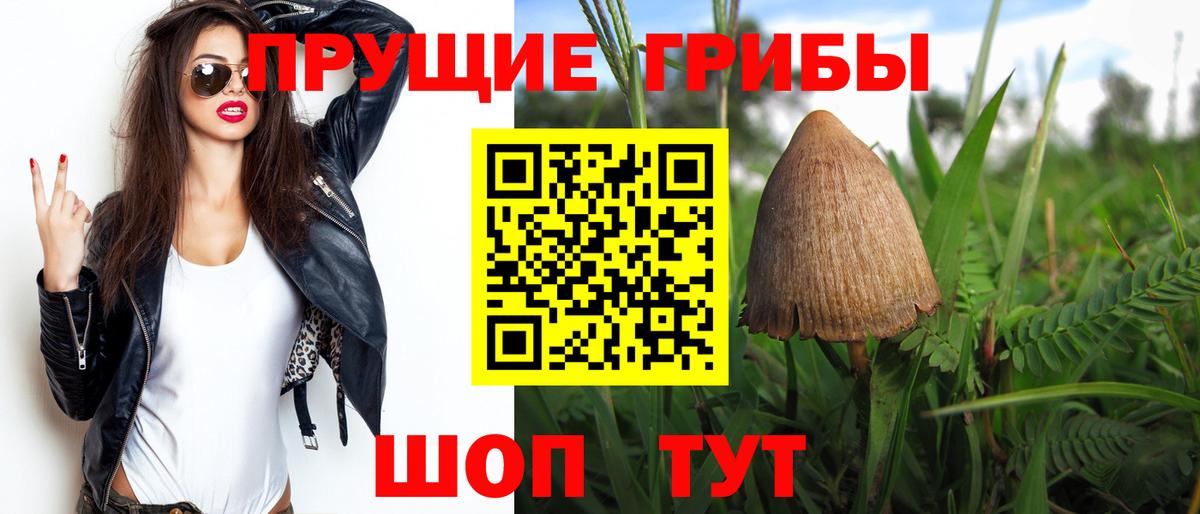 Абинск  Псилоцибиновые грибы мицелий  Псилоцибиновые грибы GOLDEN TEACHER  Вход с VPN 